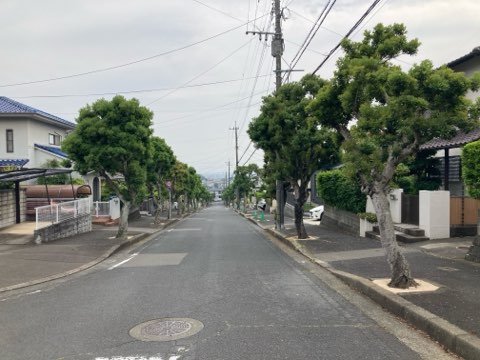 前面道路　公道　約12.0m