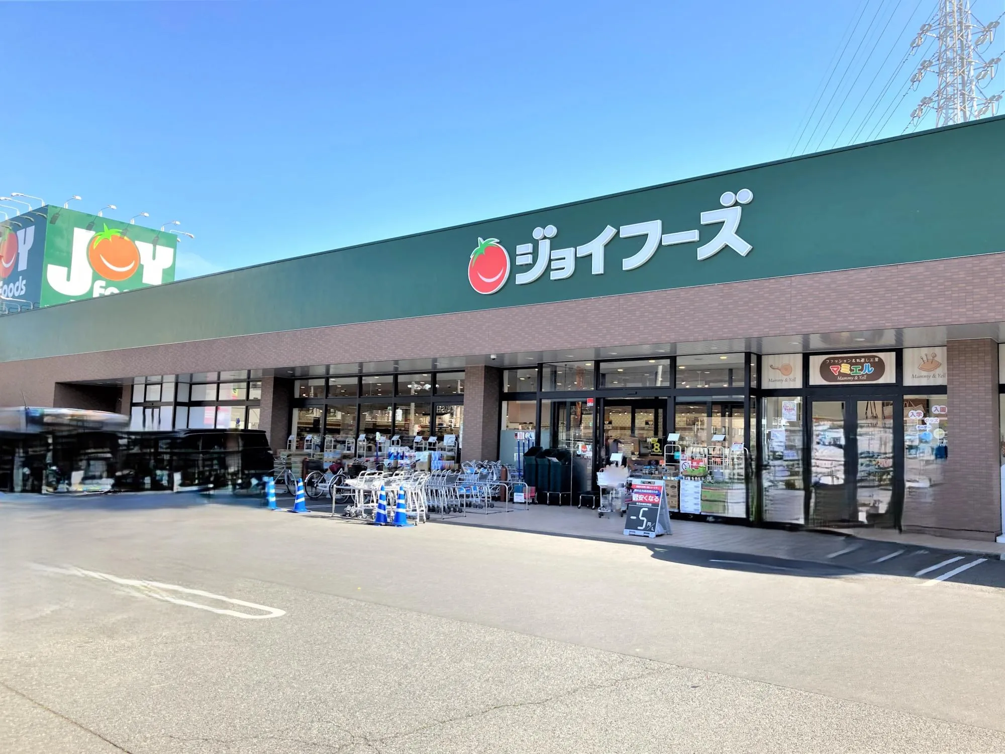ジョイフーズ高崎上佐野店
