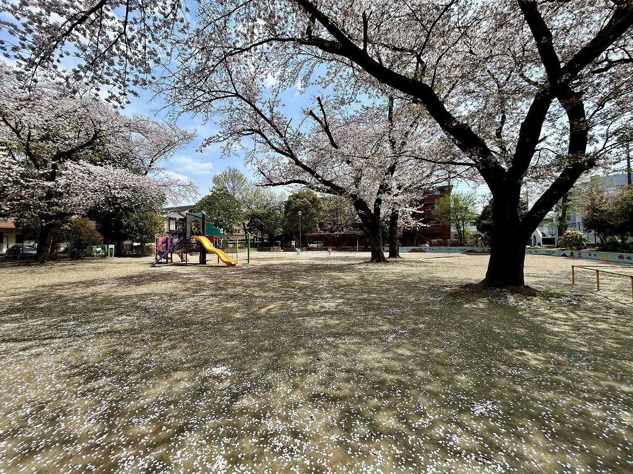 和田西公園
