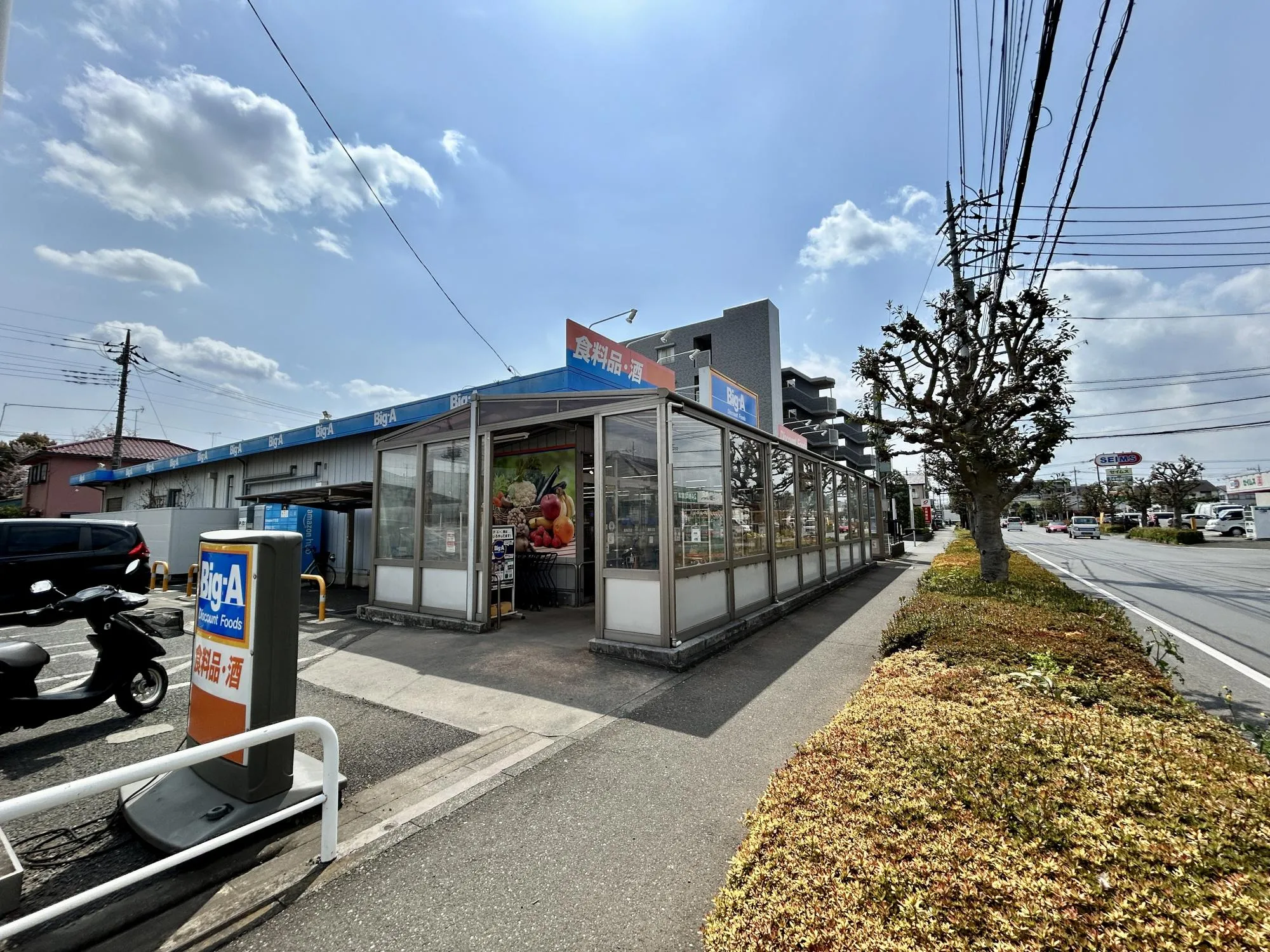 ビッグ・エー東所沢店