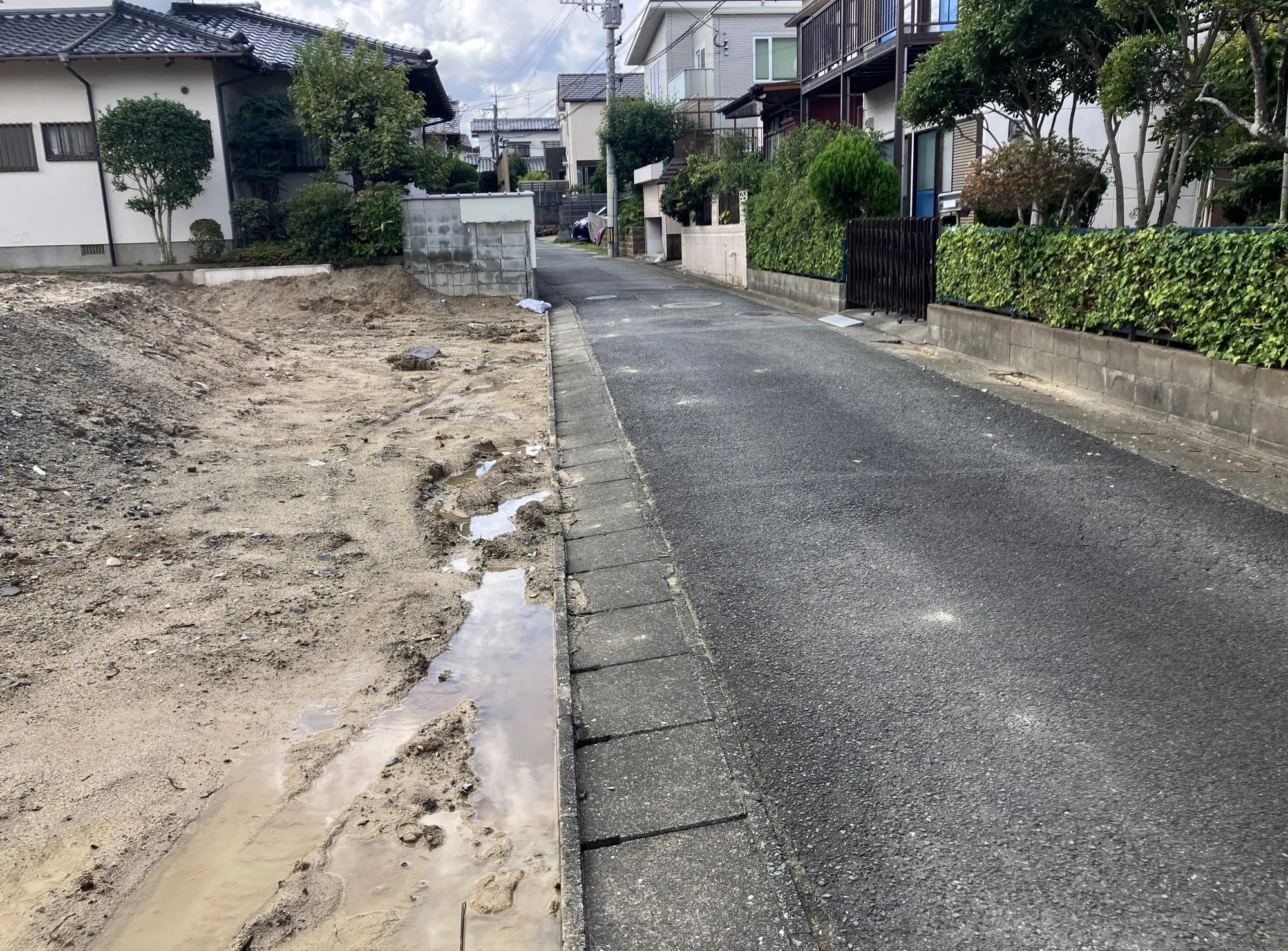 現地写真 2025年10月下旬撮影